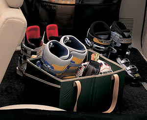 Convenience bag